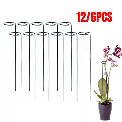 12X Plant Support Stakes Garden Flower Support Single Stem Plant Support Stakes • £2.46