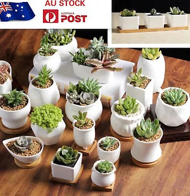 $29.99 • Buy Up To 7 Pcs White Ceramic Pots&bamboo Tray Set Pottery Flower Plant Small Pots