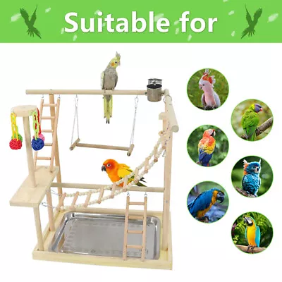 Bird Parrot Playground Bird Play Stand Natural Wood Perch Gym Playpen LadderGift • $88.99