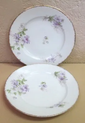 (2) Vintage CH Field Haviland Limoges France/Toronto GDA Porcelain Bread Plates • $22.99