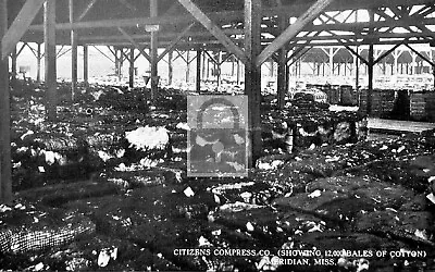 Citizens Compress Co Cotton Bales Meridian Mississippi MS Postcard REPRINT • $4.99