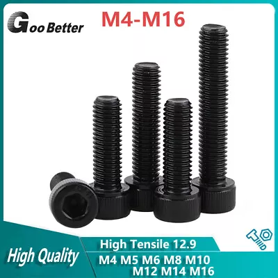 Left Hand Thread Socket Cap Head Bolt Allen Screws M4 M5 M6 M8 M10 M12 M14 M16 • £38.59