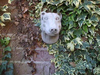 £19 • Buy Stone  Greyhound Dog  Dogs Head Wall Hanging Garden Sculpture
