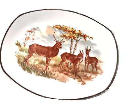 Vintage Midwinter Stylecraft Staffordshire Fashion Shape Oval Plate • £16