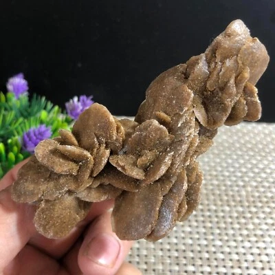 $13.30 • Buy Healing Of Stone Mineral Clusters In Selenite Samples Of Desert Rose 86g C6