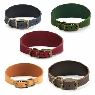 £7.45 • Buy Ancol Whippet Greyhound Leather Dog Collar Timberwolf Lurcher Bridle - 5 Colours