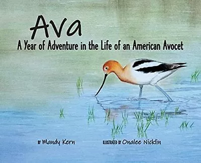 Ava: A Year Of Adventure In The Life Of An American Avocet - Kern Mandy - H... • $11.19
