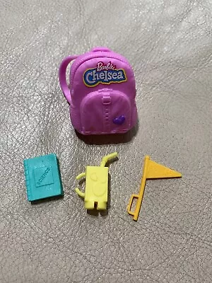 Mattel Chelsea Doll Lot Accessories Backpack Apple Juice Science Book And Flag • $9.27