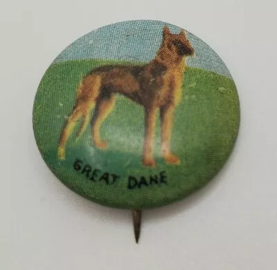 Vintage 1940s Dog Breed Miniature Pinback Button Great Dane • $19.80