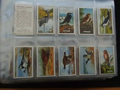 One Complete Set Cigarette Cards Gallaher British Birds • £0.99