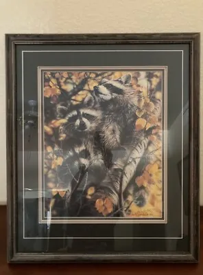 Vivi Crandall Signed Limited Edition Print....540/760...  Racoons    25  X 30  • $345