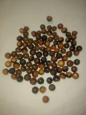 100 Clearcoated Southern Red Oak Acorns Seeds Craft Tree Landscaping Plant  • $25