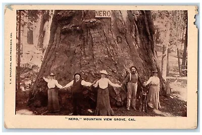 C1910's Nero Mountain View Redwood Tree Grove California CA Antique Postcard • $14.98