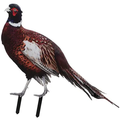 Pheasant Garden Decoration Animal Figurines Outdoor Stakes Props • £9.49