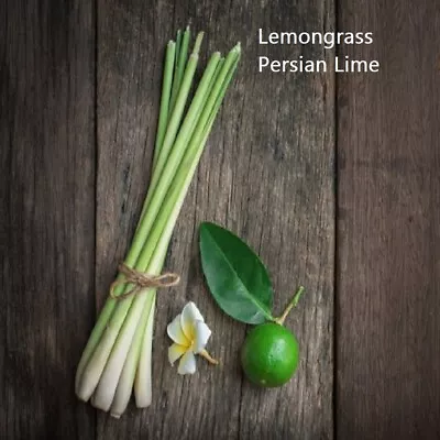 $19.95 • Buy PREMIUM HIGHLY SCENTED REED DIFFUSER REFILLS - Lemongrass & Persian Lime
