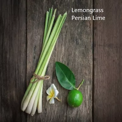 $21.95 • Buy PREMIUM HIGHLY SCENTED REED DIFFUSER REFILLS - Lemongrass & Persian Lime