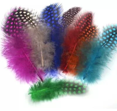 ATST® Coloured Spotty Feathers - Polkadot Small Colour Craft Or Hat Feathers • £2.84