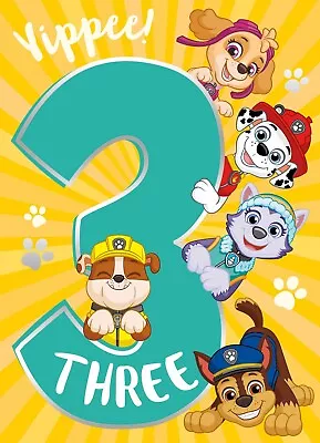 3rd Birthday Card Age 3 Birthday Card Paw Patrol Birthday Envelope Included • £2.80