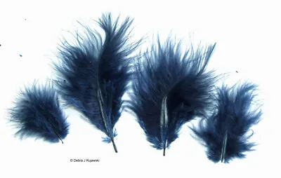 Marabou Feathers Small 1-3  Fluffs NAVY BLUE 7 Grams Approx. 105 Per Bag • $2.65