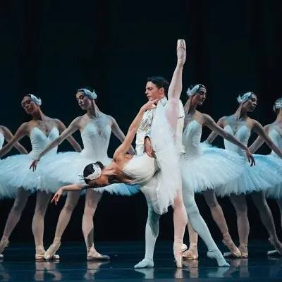 Swan Lake Tickets • $130