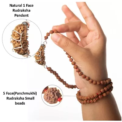 New 1 Mukhi Ek Rudraksha One Face Rudraksh With 5 Mukhi Rudraksh Mala~certified • $35.96