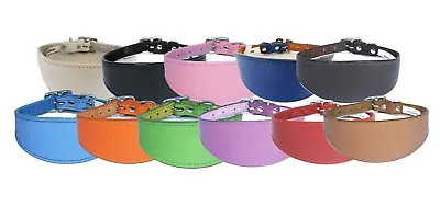 New Real Leather Saluki Collar Afghan Dog Collar Whippet Greyhound Collar Padded • £15.65