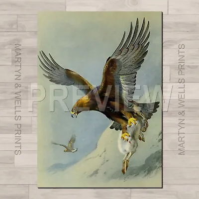 £5 • Buy Archibald Thorburn A4 Canvas Paper / Art Prints. Birds Of Prey. Eagle Owl Falcon