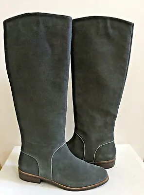 Ugg Gracen Daley Grey Gray Tall Suede Equestrienne Boots Us 12 / Eu 43 / Uk 10.5 • $119