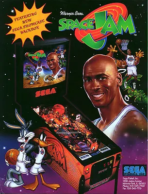 Pinball ROM CPU And DISPLAY SET (2 Chips) Sega Space Jam Upgrade • $18.95