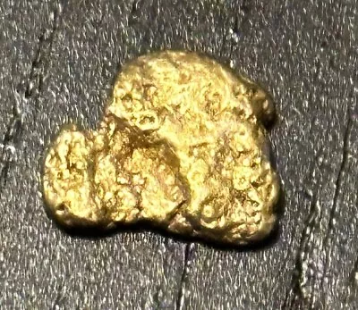 0.79 G Gram California Panned Placer Gold Nugget Lot Original Real - TCCCX • $71