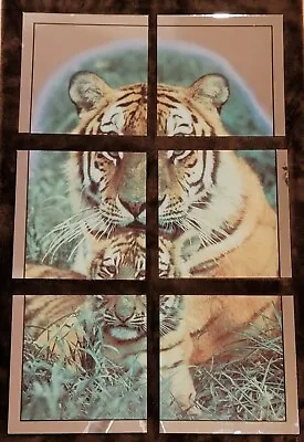Vintage Hoyne Mirro-Scene Tiger Mother & Cub Wall Mirror Mural  Mirrored Tiles   • $20