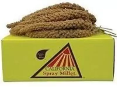 California Golden Spray Millet For Birds - Premium Spray Millet • $86.65