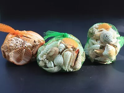 290g Bag Of Assorted Sea Shells Natural Mixed Bag Value Beach Craft Aquarium • £2.95