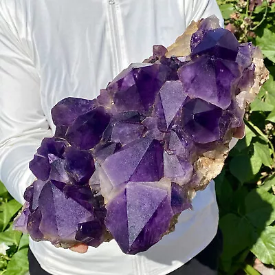 12.5LB Natural Backbone Amethyst Quartz Crystal Mineral Specimen • $0.99