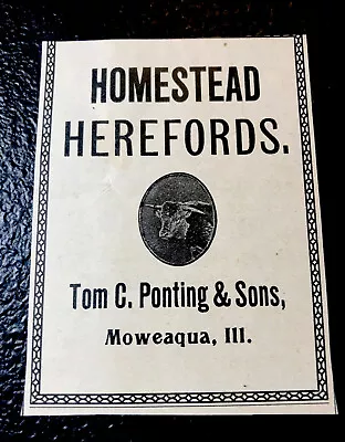 1900 Ponting & Sons Farm Cattle Advertising - Moweaqua - Illinois - Cow • $4.99