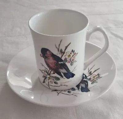 Mayfair Pottery Fine Bone China Bird Cup And Saucer New • £7.52