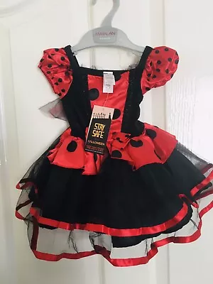 Girls 6-9 Mths BNWT Lady Bug Costume From Matalan • £5