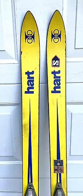 Vintage Hart 100 150cm Skis Yellow Salomon 202 Bindings Decor Display USA • $49