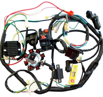 ATV Electric Wiring Harness Wire Go Kart 150cc 200cc 250CC Engine Taotao Kazuma  • $79.17