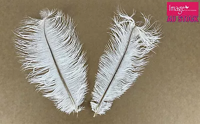 Bulk White Ostrich Feathers Costume Bride Venue Wedding Party Decorations • $9.99