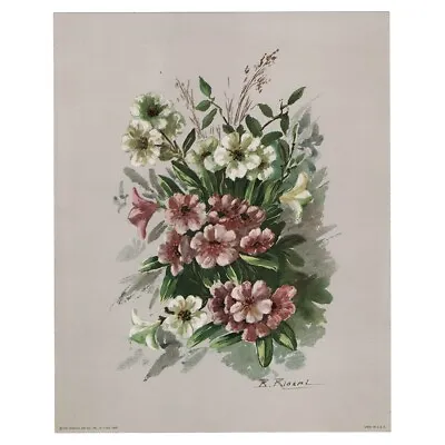 Vintage Botanical Print Pink & White Mandevilla Flowers Riosni Donald Art Co • $21.99