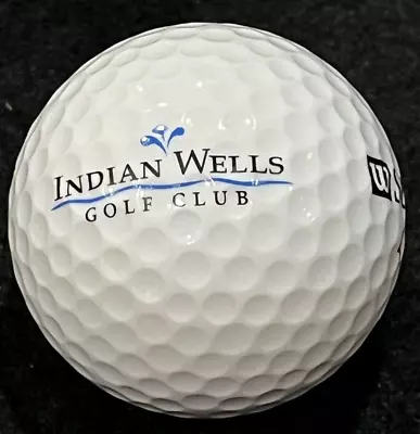 Indian Wells Golf Club Golf Course Logo Golf Ball Myrtle Beach SC • $8.99