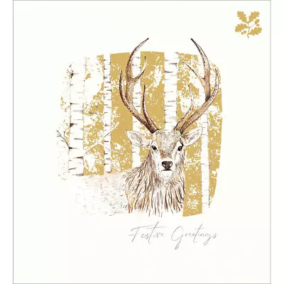 5 Deer National Trust Habitat Christmas Cards – Charity UK Made Xmas Cards • £2.99