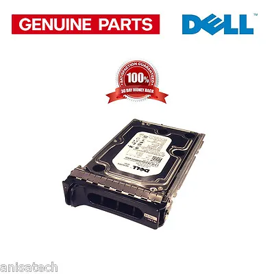 £64.96 • Buy Dell 1000 GB SATA II 7.2K RPM 3.5  Hotplug Hard Drive G377T 0G377T INTERPOSER()