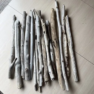 $11.88 • Buy 15 Count Box 17” - 21” Oregon Driftwood Sticks