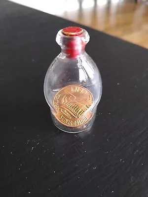 Vintage 1971 Penny In A Miniature Glass Bottle With Red Cork Stopper • $12.88