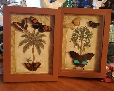 Lot Of 2 Vintage Taxidermy Framed Butterflies 6 Butterflies  • $35