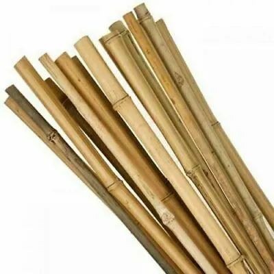 6ft Heavy Duty Bamboo Plant Support Garden Canes Bamboo Sticks Poles Pack Of 10 • £12.98