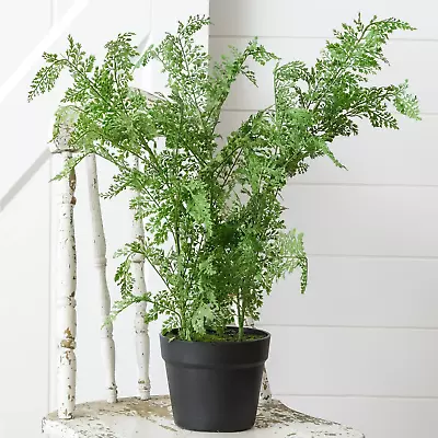 Faux Maidenhair Fern 22  Potted Houseplant • $48.95