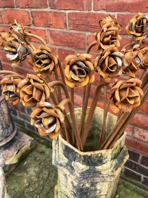 £10 • Buy Rusty Metal Garden 1 Metre Flower Stakes - Choose Selection Poppy, Rose